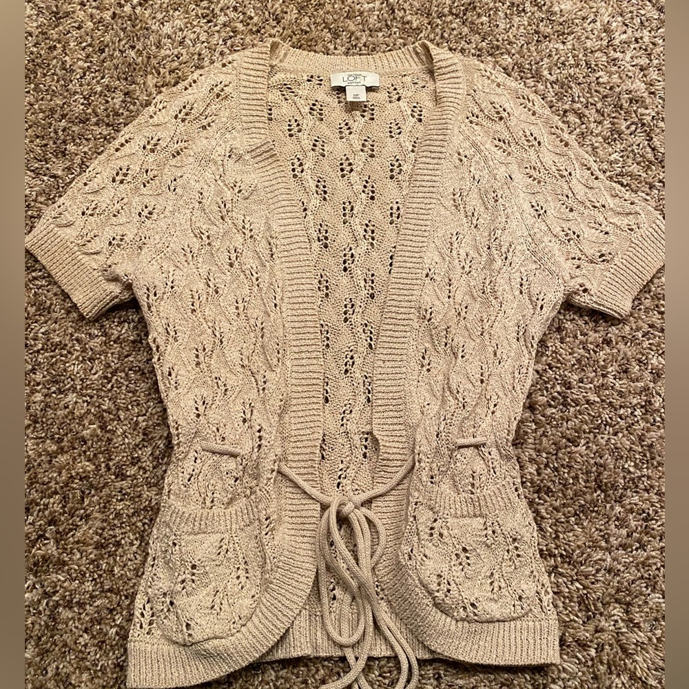 Ann Taylor sweater